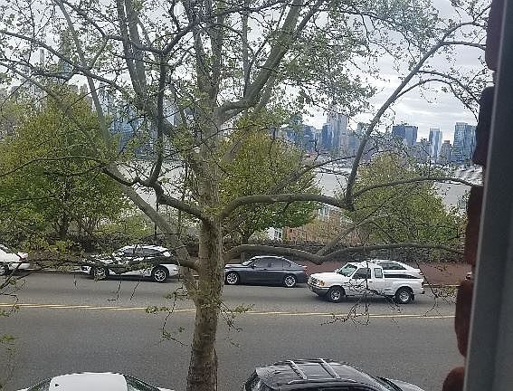 20190427_134435_resized