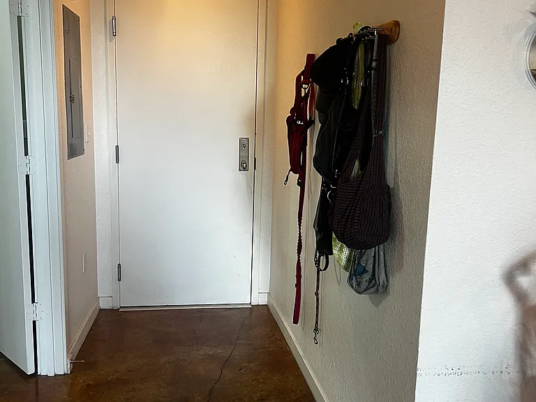 420 N Adams St #205 — Photo 11