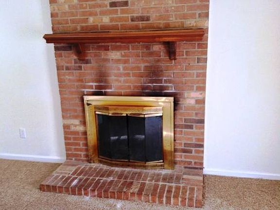 wood burning fireplace