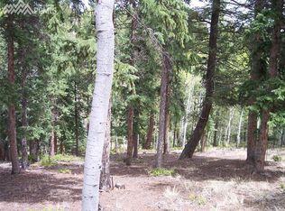 145 Trappers Lake Cir, Divide, CO 80814