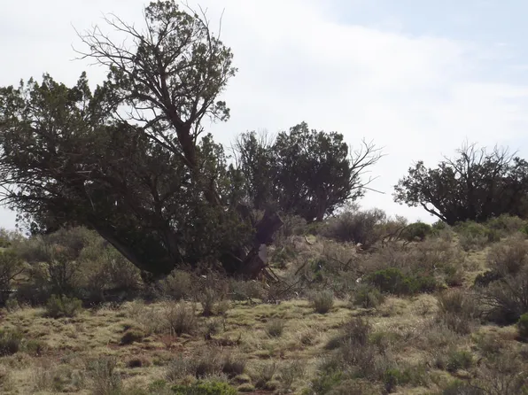 64 S Laguna Dr, Williams, AZ 86046