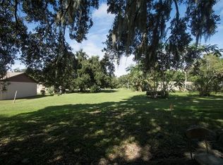 416 W Henschen Ave, Oakland, FL 34760