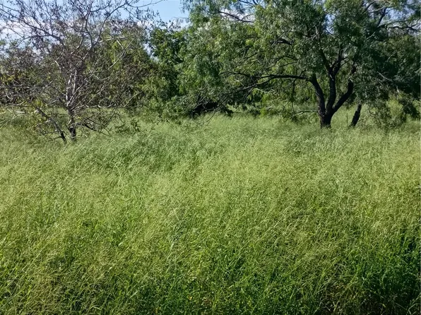 364 Deer Meadows Dr, Alice, TX 78332
