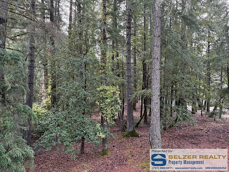 25217 Sherwood Rd — Photo 9