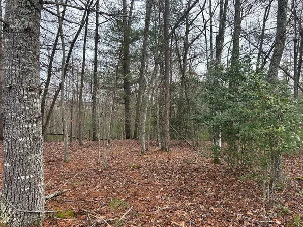 42 Lola Mae Way, Morganton, GA 30560