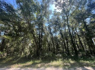 NE 497th St LOT 29, Old Town, FL 32680