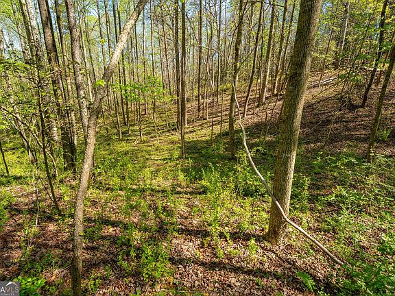 4th image of 0 Glade Rocks Springs Rd