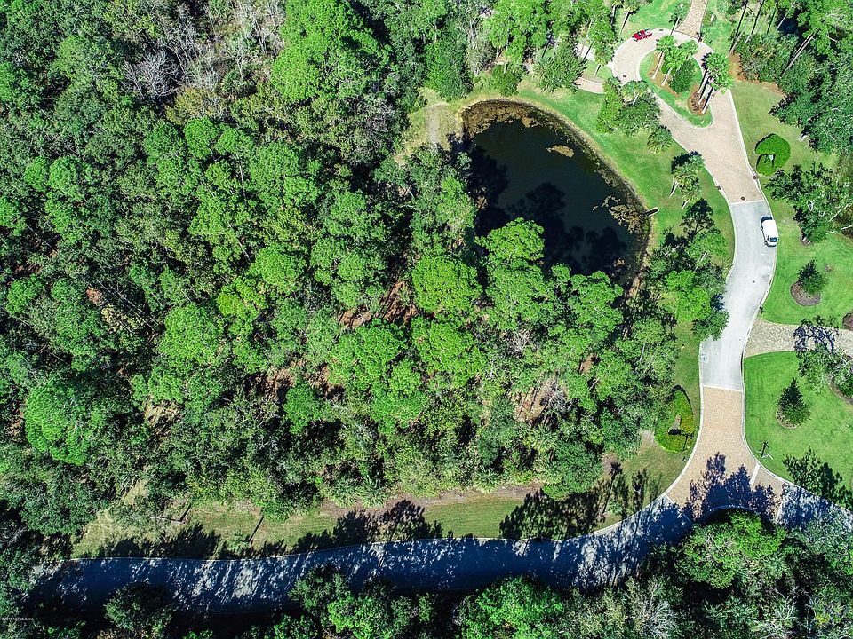 Found Forest Lot