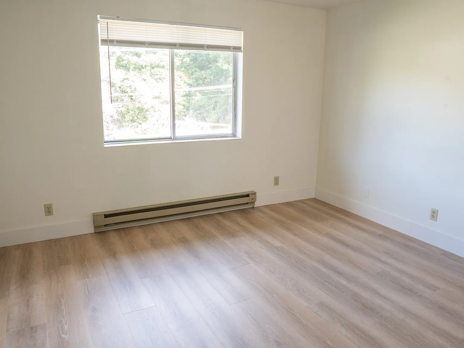 2 bed, 750 sqft, $1,350 — Photo 4