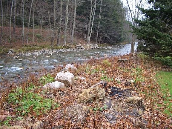 stream behind house