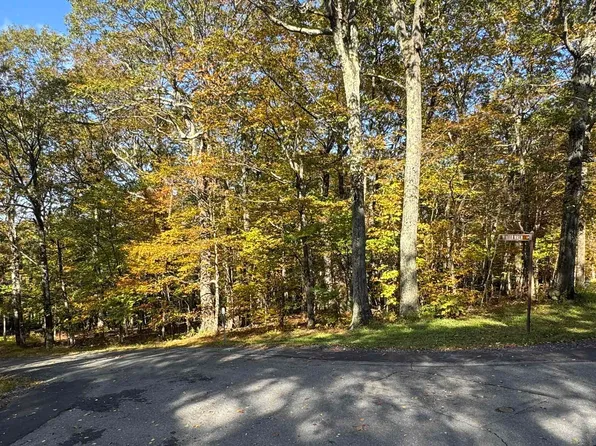 Winter Wren Ln, Roseland, VA 22967