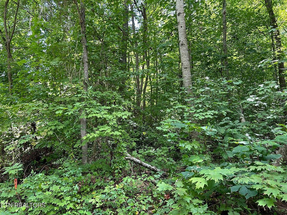 1st image of Pearl Ln Lot 26