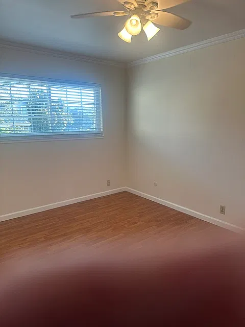 1 bed, $1,600 — Photo 3