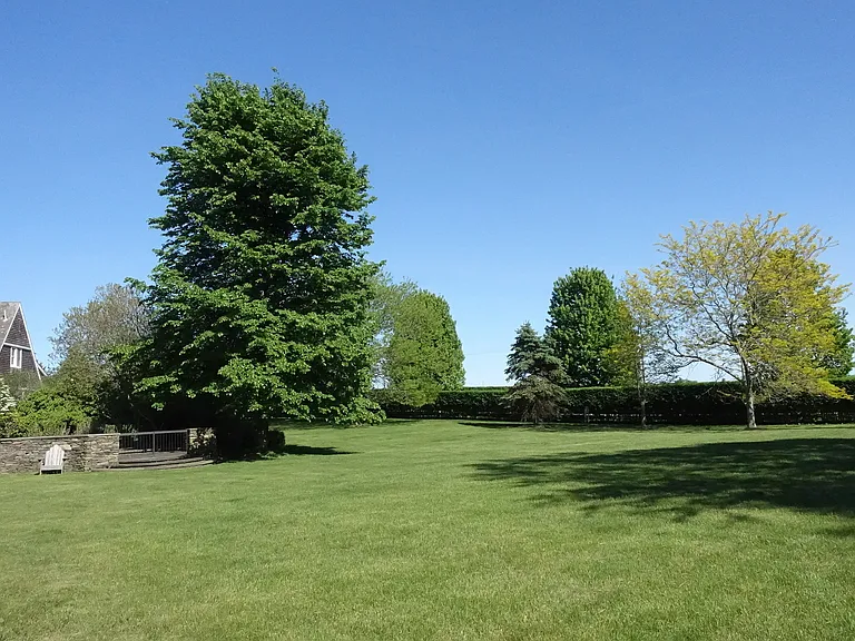 880 Lumber Ln — Photo 9