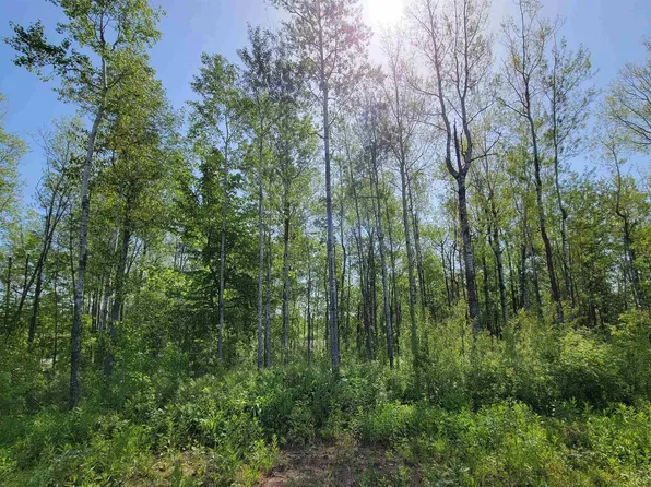 9 Street, Duluth, MN 55810