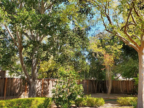 5th image of 1615 Santa Cruz Ave