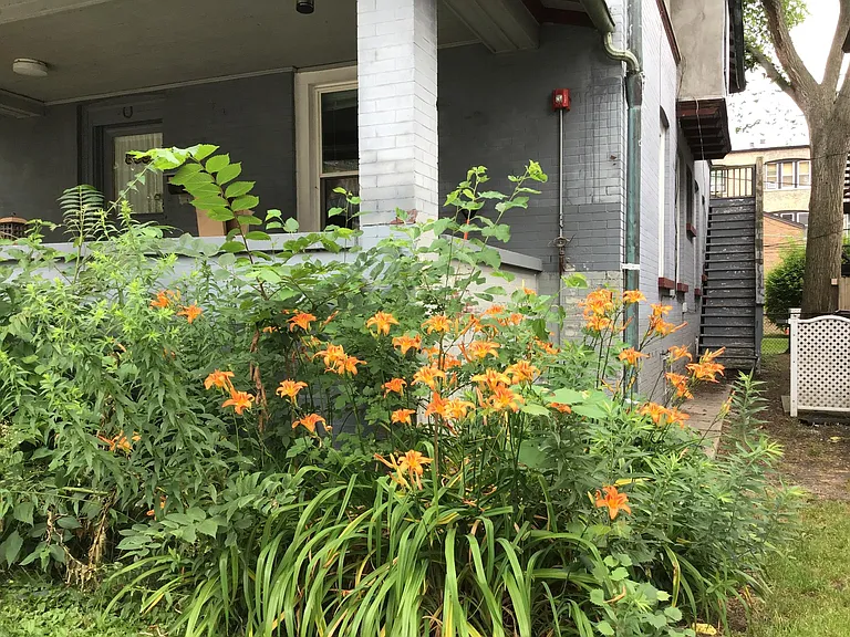 809 Foster St — Photo 30