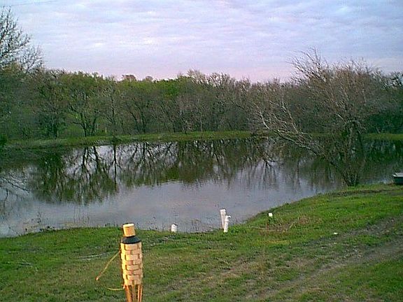 back pond view from deck