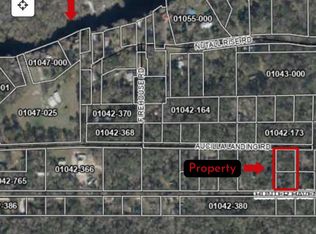 Vacant Aucilla Landing Rd, Lamont, FL 32336