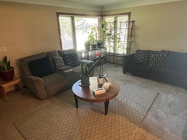 Spacious living room with tons of natural light!
