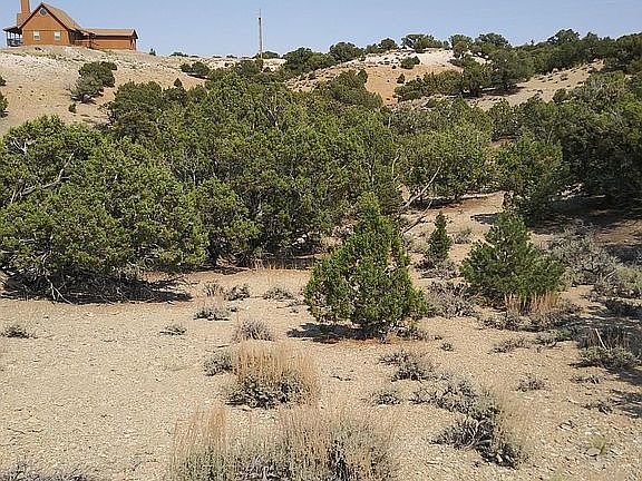 5th image of 19393 W East Coyote Canyon Dr