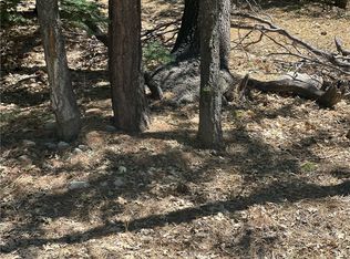 16 Tank Rd LOT 13, Running Springs, CA 92382