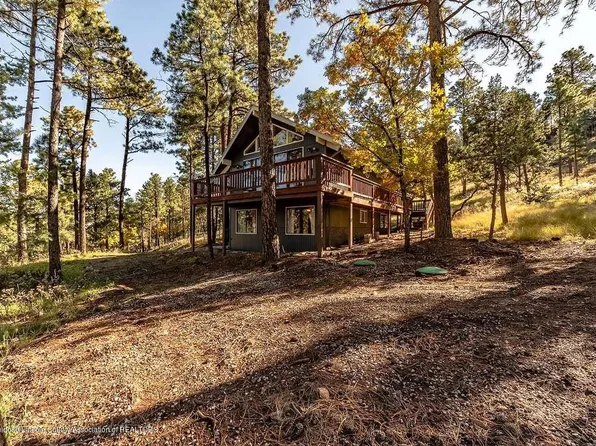 102 Holly Dr, Alto, NM 88312