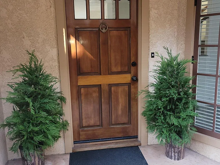 Entry Door