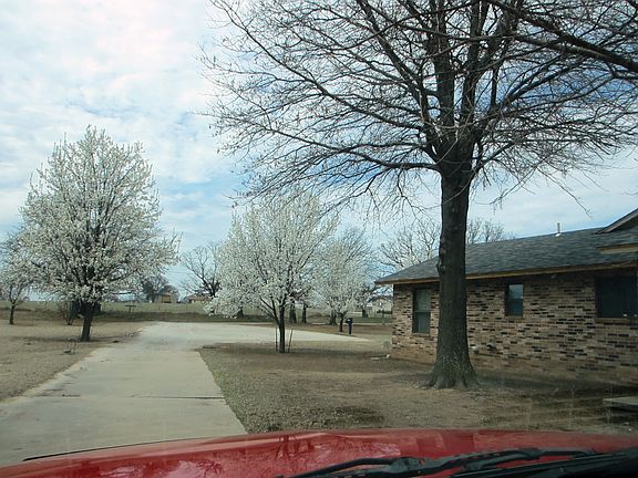 South side of house, parking