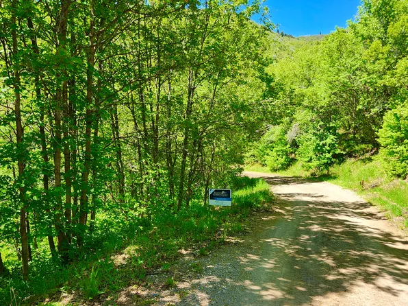 22440 N Elk Meadows Drive Mdws, Fairview, UT 84629