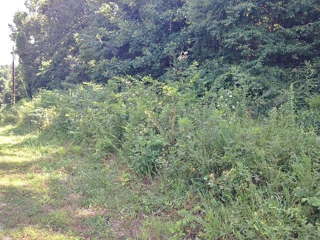 2nd image of 700 Crossvine Rd
