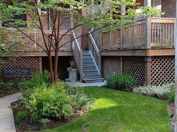 Looking south in the garden