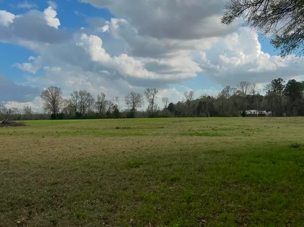LOT 2 W T Hall Rd, Ethel, LA 70730