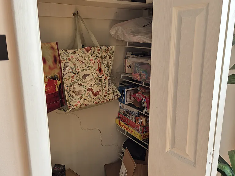 Pantry/storage (front corner of Great Room)