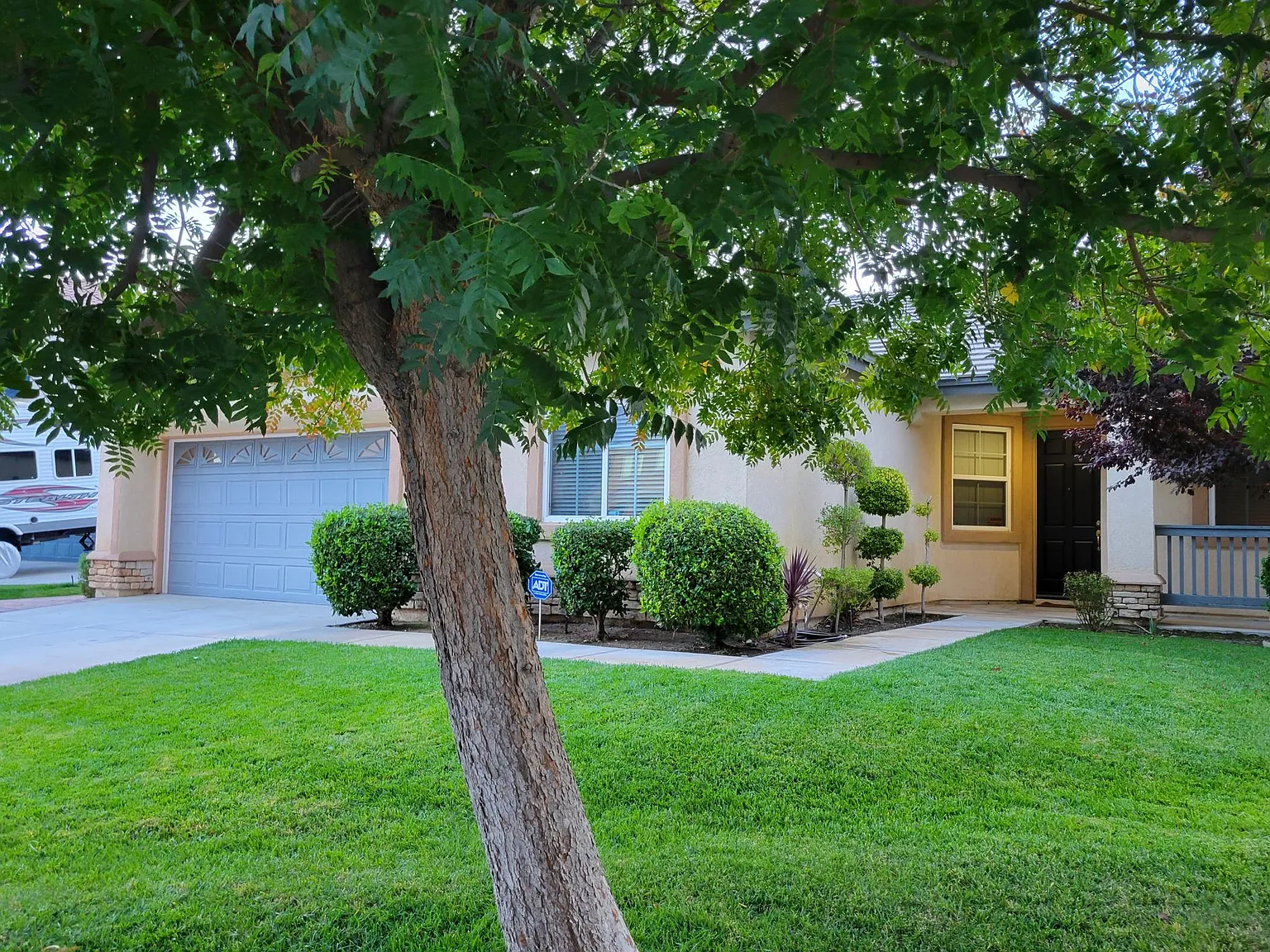 2274 Purple Finch Ct — Photo 2