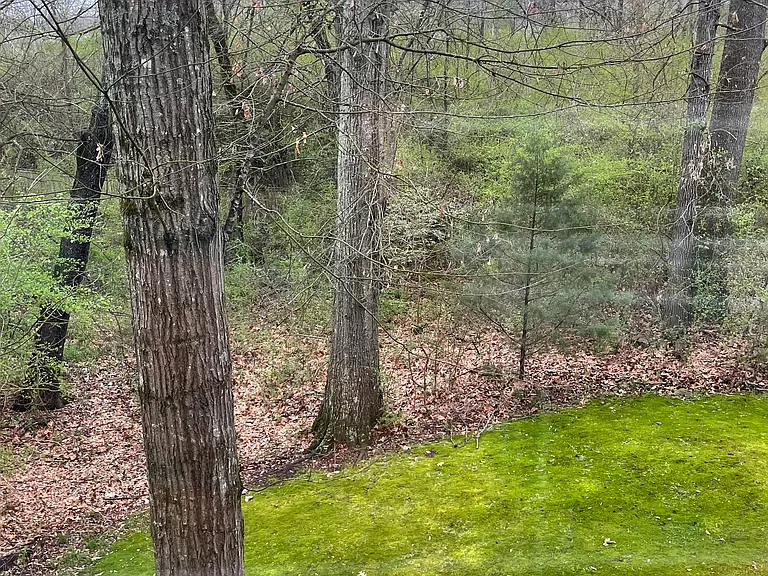 Upstairs view from both bedrooms