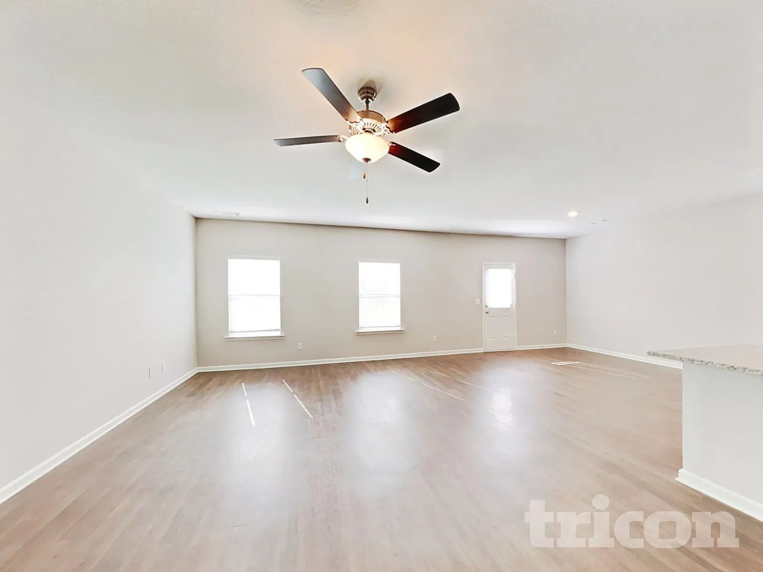 10799 Wheeler Trace Hampton GA — Photo 3