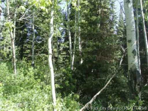 3rd image of 696 Porcupine Loop #Ss-144