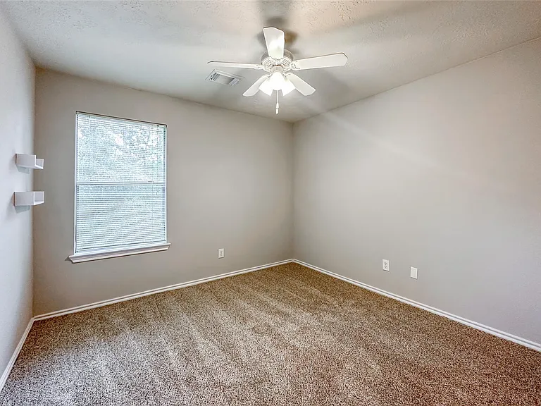 131 Anise Tree Pl — Photo 30
