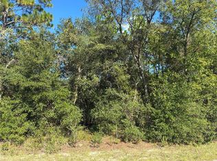 SW Seaweed Ave LOT 33, Dunnellon, FL 34431