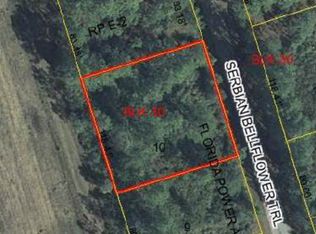 34 Serbian Bellflower Trl, Palm Coast, FL 32164