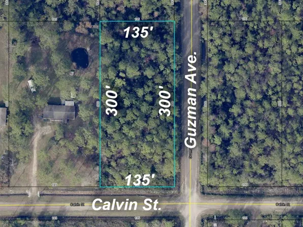 4300 Calvin St, Hastings, FL 32145