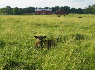 899 Luther Rogers Rd, West Union, OH 45693