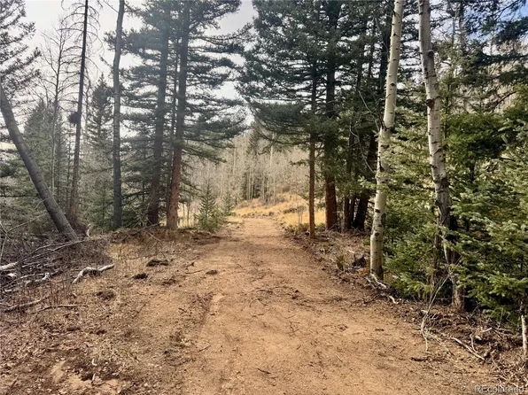 Ryland Road, San Luis, CO 81152