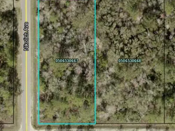 4670 HAROLD Street, Hastings, FL 32145