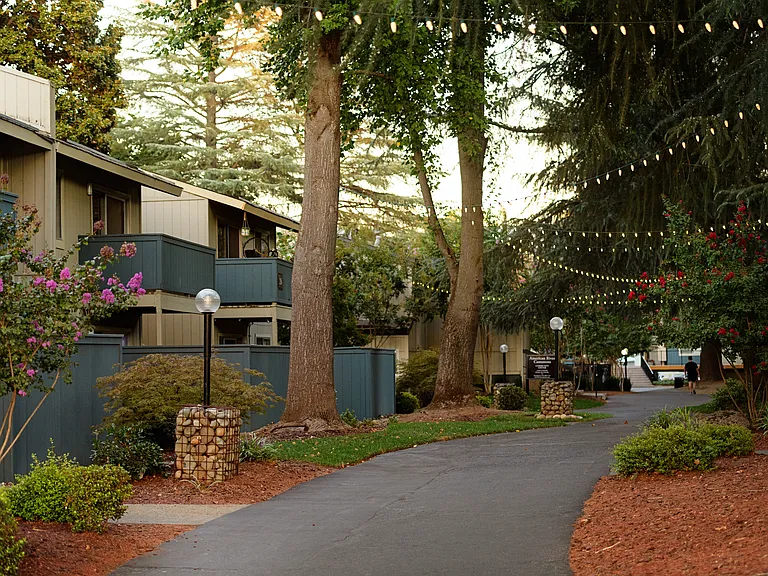 American River Commons — Photo 10