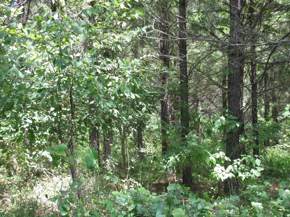 Jaces Trl, Nashoba, OK 74558