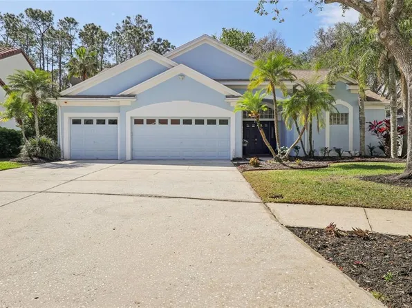 4442 Clairson Ct, Palm Harbor, FL 34685