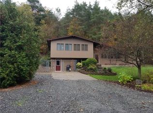 1285 Phelps Dr, Arkport, NY 14807