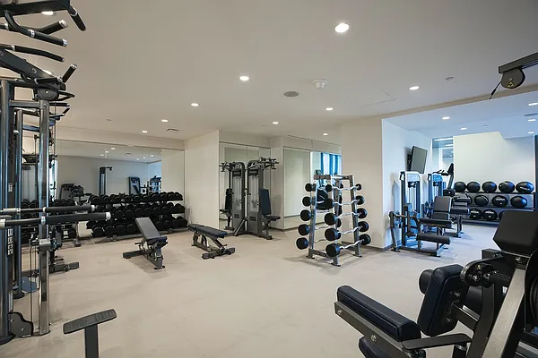 Rented by Gotham Organization | media 9